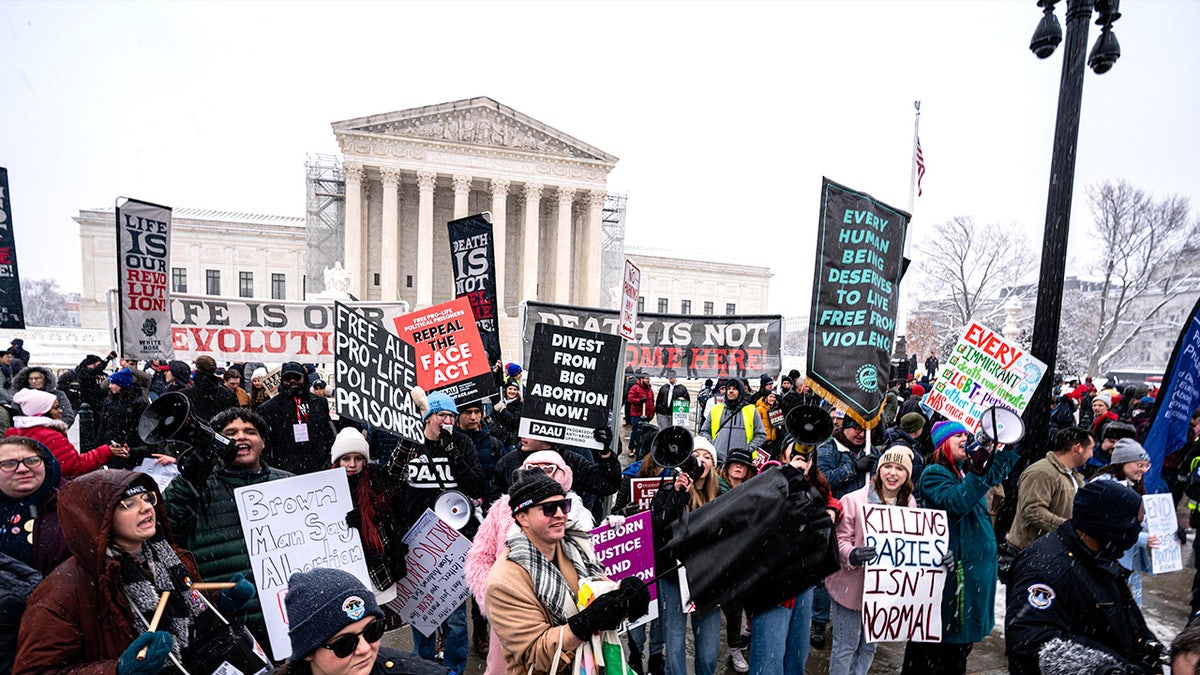Pro-life march in Washington, D.C.