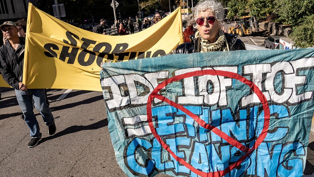 photo shows protestor with sign